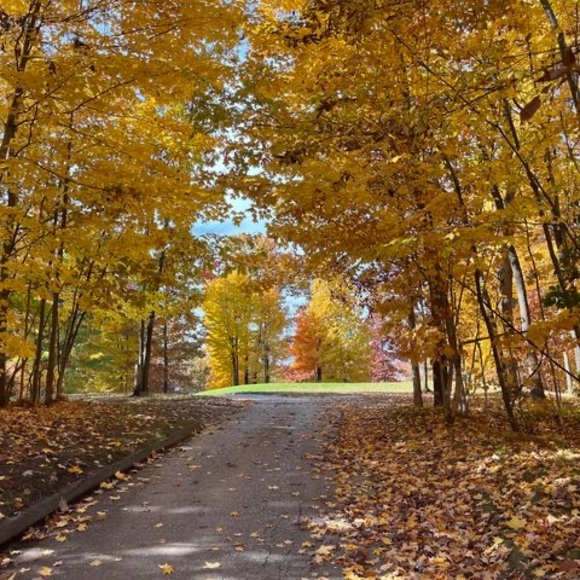 Meet your Posher, Amy - Picture 1 of 1